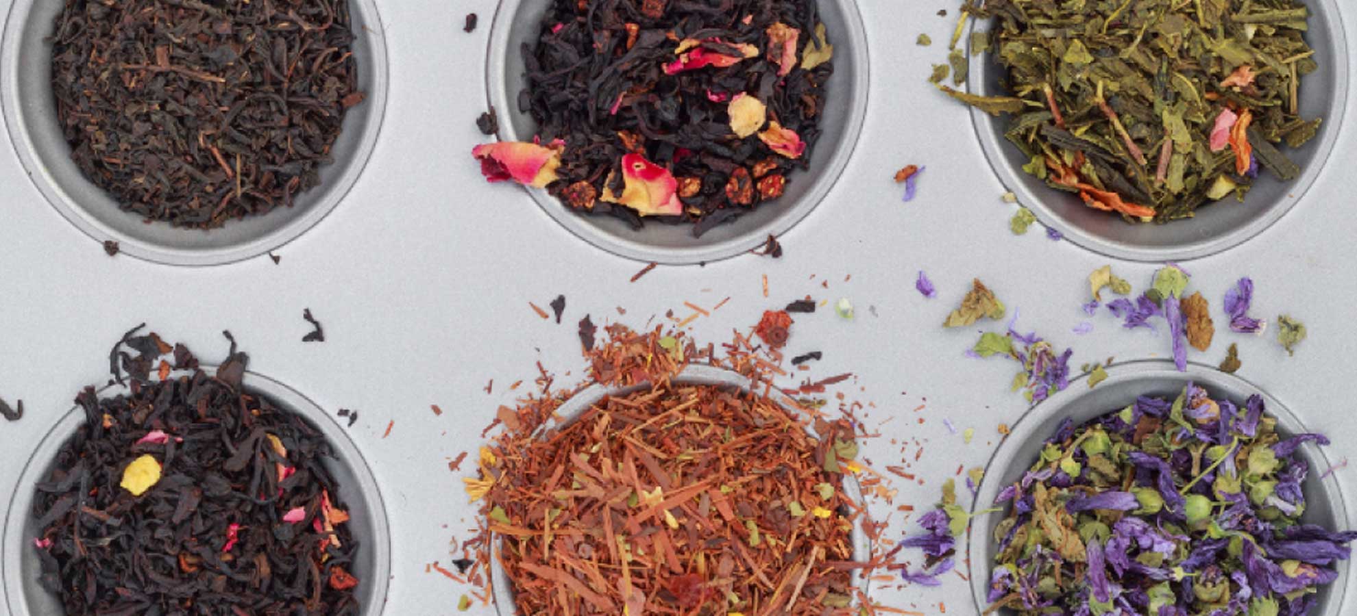 Coltivare erbe aromatiche